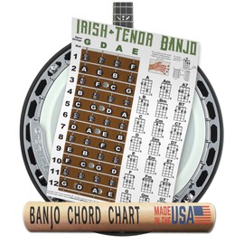 A New Song Music Irish Tenor 4 String Banjo Fingerboard Notes & Chord Poster Wall Chart 11x17