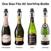 HYZ Champagne Stopper with Vacuum 2-Pack, Professional Bottles Sealer for