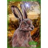 Animal Communication Oracle Cards with Anita Denise