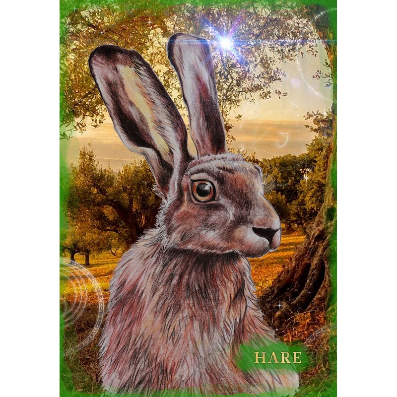 Animal Communication Oracle Cards with Anita Denise