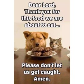 Funny dog cat   refrigerator magnet 3 1/2 X 4 1/2 "