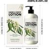 2PCS Lemon Eucalyptus & Rosemary Scented Body Lotion – Lightweight,