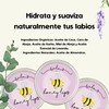 Balm's Honey Lips Kit 4 10g - Balsamo Labios Hidratante