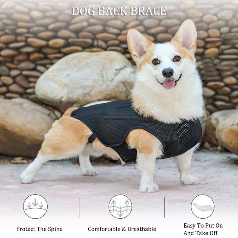 IVDD Back Brace for Dogs, Flexible Pet Dachshund Back Supporting