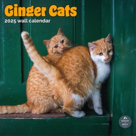 Baker and Bray Ginger Cats Calendar 2025, Large Square Wall Calendar, 16 Month, Ginger Cats Gift Dog Calendar.