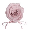 ROSEMARIE SCHULZ Heidelberg Small Rose Box White Round Infinity Rose