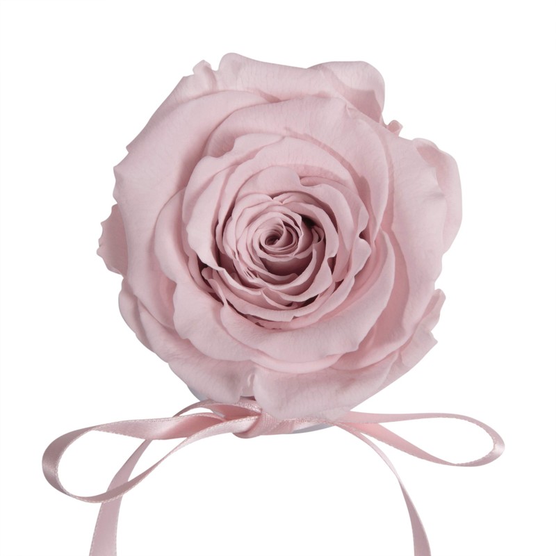 ROSEMARIE SCHULZ Heidelberg Small Rose Box White Round Infinity Rose
