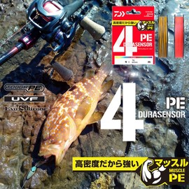 DAIWA PE Line UVF PE Dura Sensor X4+Si2, No. 4, 300 m, Multicolor