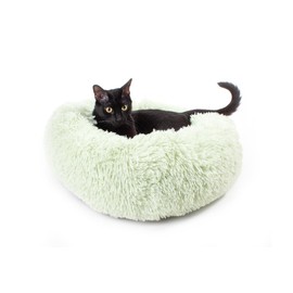 Jackson Galaxy Donut Disturb Cat Bed (Mint)