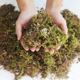 JFWOD 6QT Orchid Potting Mix with Moss Pine Bark Mulch Perlite & Coco Peat Natural Ingredients, Orchid Repotting Soil Medium Great for Indoor Plant Root Climbing & Expanding