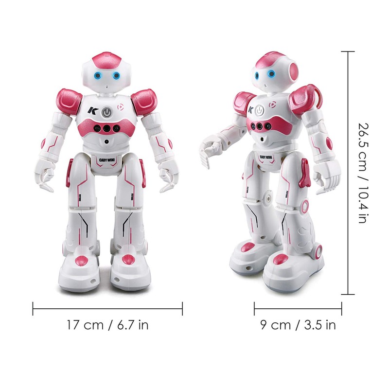 Pup Go Kids Remote Control Smart Ai Robot Toy, Singing