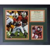 Ed Reed - Miami Hurricanes 11" x 14" Framed Photo