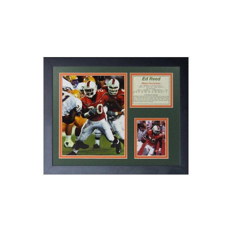 Ed Reed - Miami Hurricanes 11" x 14" Framed Photo