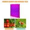 LED Plant Grow Lights for Indoor Plants Full Spectrum 12W
