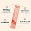 Venture Pal Sugar Free Electrolyte Powder Packets-Grapefruit