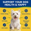 NAD+ Longevity Supplement for Senior Dogs, Vitality, Cognitive Health, 60ML