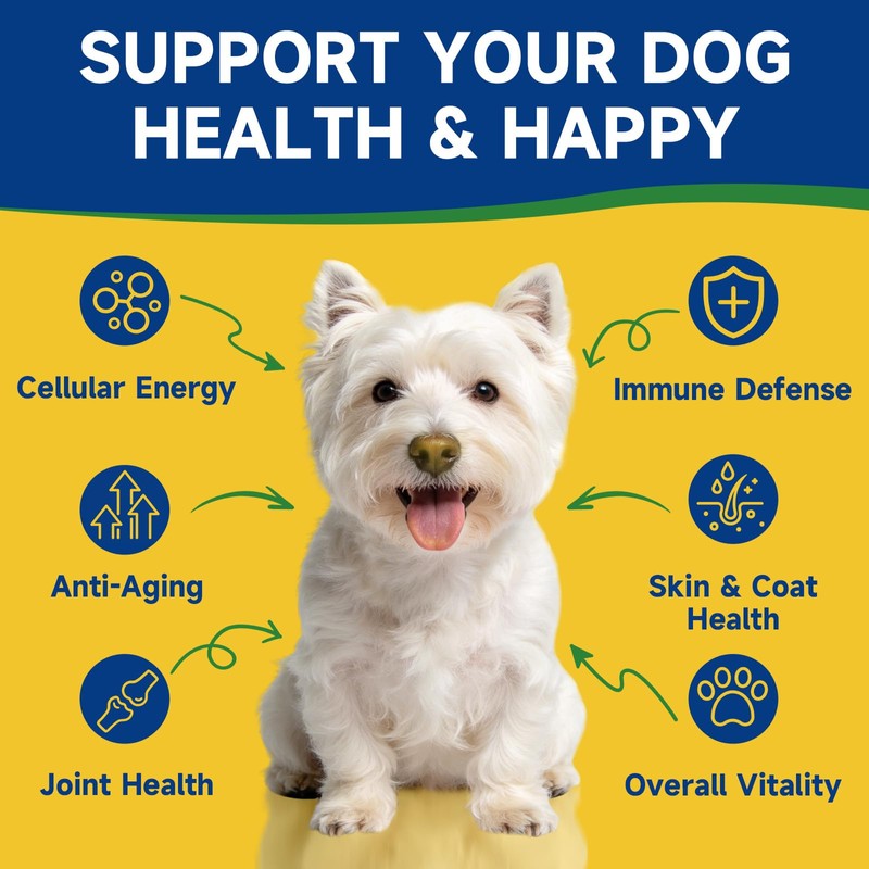 NAD+ Longevity Supplement for Senior Dogs, Vitality, Cognitive Health, 60ML
