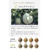 【45兆個のナノ型乳酸菌】と メロングリソディン サプリメント「マナヴィー」30日分