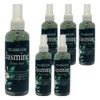 Partner_Reference 더허브스토리 바디미스트 자스민 200ml 6개 / 더허브스토리 바디미스트 자스민