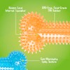 Gnawsome Medium Squeaker Bone for Dogs