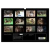 Wolves, Wild Spirits (Wall Calendar 2026 DIN A3 Landscape), CALVENDO