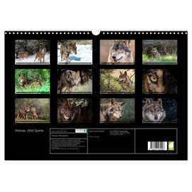 Wolves, Wild Spirits (Wall Calendar 2026 DIN A3 Landscape), CALVENDO 12 Month Wall Calendar: Stunning images of the most legendary predator. (CALVENDO Animals)