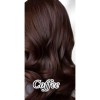 Shampoo Tinte Cubre Canas 500ml Jengibre Color Coffee Brown