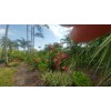 Ready for Outdoors - Patio - Indoor Container 2 small