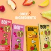 BOB SNAIL Healthy Organic Fruit Snacks for Kids and Adults