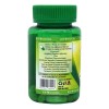 Jengibre Joy Natura Zingiber Officinale 60 Caps