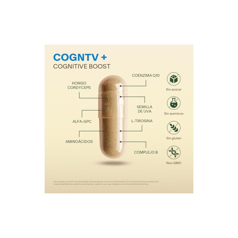Hongo Cordyceps Nootrópico con Vitaminas B, L-Teanina VITAL BOTANICS