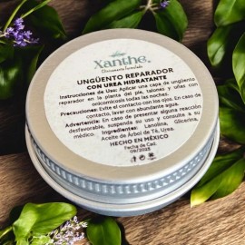 Ungüento Reparador Para Pies Xanthe En Envase De Vidrio