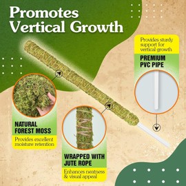 WEMOSS Natural Stackable Moss Pole for Plants Monstera, Forest Moss Sticks, Monstera Plant Support, Handmade Plant Stakes for Indoor Plants for Potted Plant to Grow Upward (2pcs)