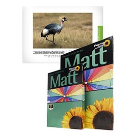 PermaJet 51102 6-Inch ×4-Inch 240g Digital MattPlus Paper