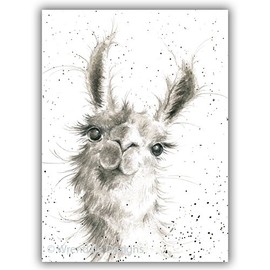 "Because I'm Worth It" Llama greeting card