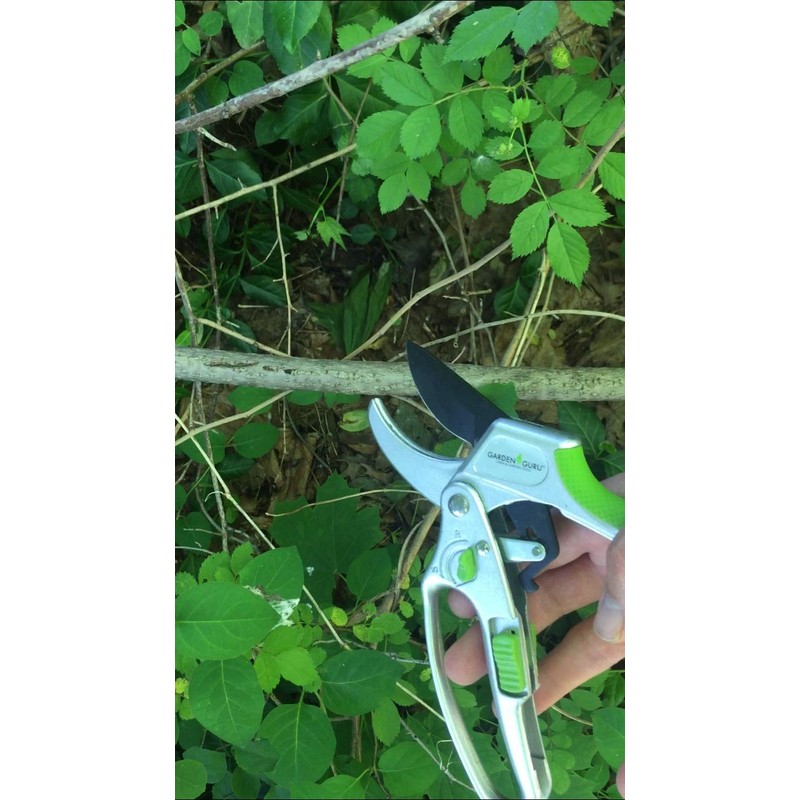 GARDEN GURU 2 in 1 Ratchet Pruning Shears Clippers –