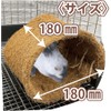 Kawai Passion Horihori Coconut Tunnel