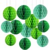 12pcs Green Paper Honeycomb Balls,Hanging Tissue Pom poms for Party