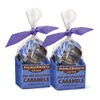 AvenueSweets - Handcrafted Individually Wrapped Soft Caramels - 2 x