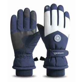 CAERUS Ski Gloves Waterproof Touchscreen Snowboard Gloves, Warm Winter Snow Gloves for Cold Weather, Unisize Men's (Navy)