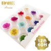 Dried Flower Lace Pressed Flowers 60 Pieces Resin Art or