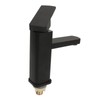 Sink Faucet Black Single Handle Single Hole Cold Stainless Steel