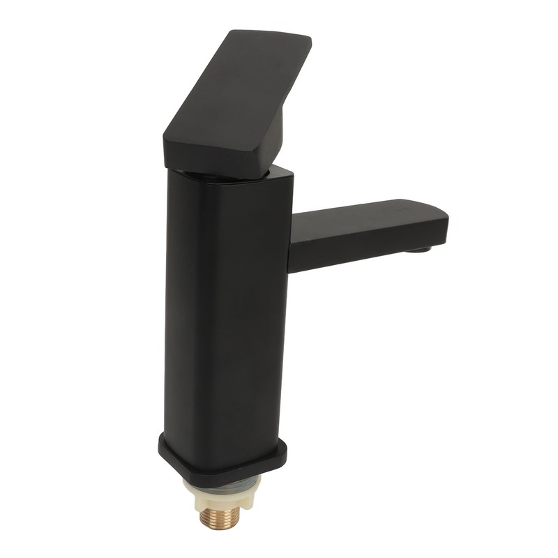 Sink Faucet Black Single Handle Single Hole Cold Stainless Steel
