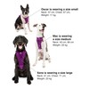 Enhanced Strenght Tru-Fit Smart Harness, Purple, Extra Large