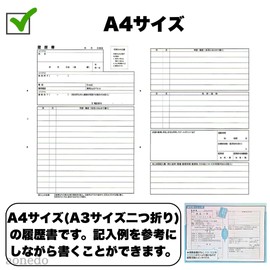 Resume A4 with Large Envelope for No-Fold Insertion, General Use JIS Standard Form with Clear File (1 piece)