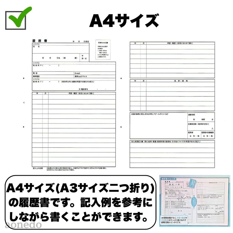 Resume A4 with Large Envelope for No-Fold Insertion, General Use