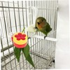 CAXUSD 4Pcs Hummingbird Feeders Plastic Outdoor Bird Feeders with Clips