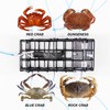 A1FISHER 1PCS Crab Snare Trap with Galvanized Steel Mesh with