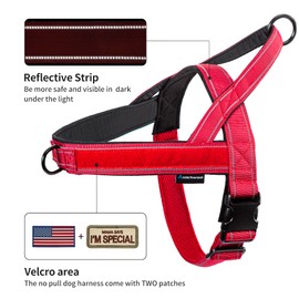 Annchwool No Pull Dog Harness with Padded Handle+5 Ft Leash,Reflective Strip Escape Proof and Quick Fit to Adjust Dog Harness,Easy for Training Walking for Small & Medium and Large Dogs(Red-Set,L)