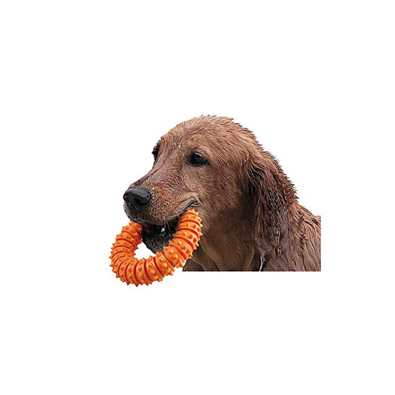 Karlie Boomer Rubber Aqua Ring, Small, Orange